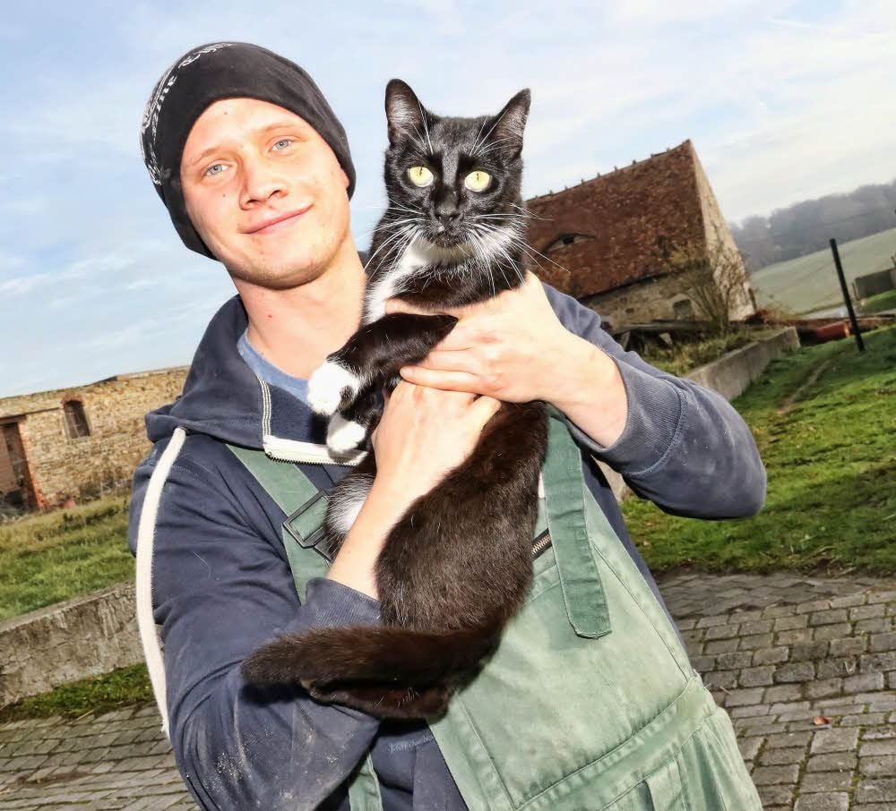 Nico Schubert ist Praktikant auf dem Schulbauernhof und für die Tiere verantwortlich - unter anderem auch für die Katzen, die immer mehr werden.