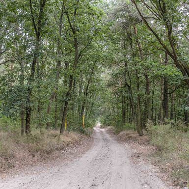 Hier, vom Wiesigker Tor aus, soll ein Radweg bis zum Abtsdorfer Bibergrund führen.