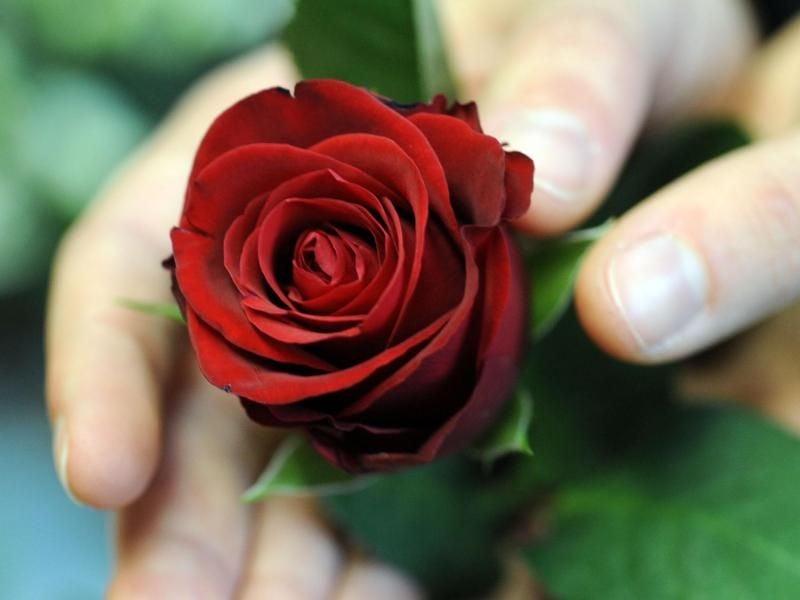 Die letzte Rose wurden vergeben. Foto: Peter Steffen