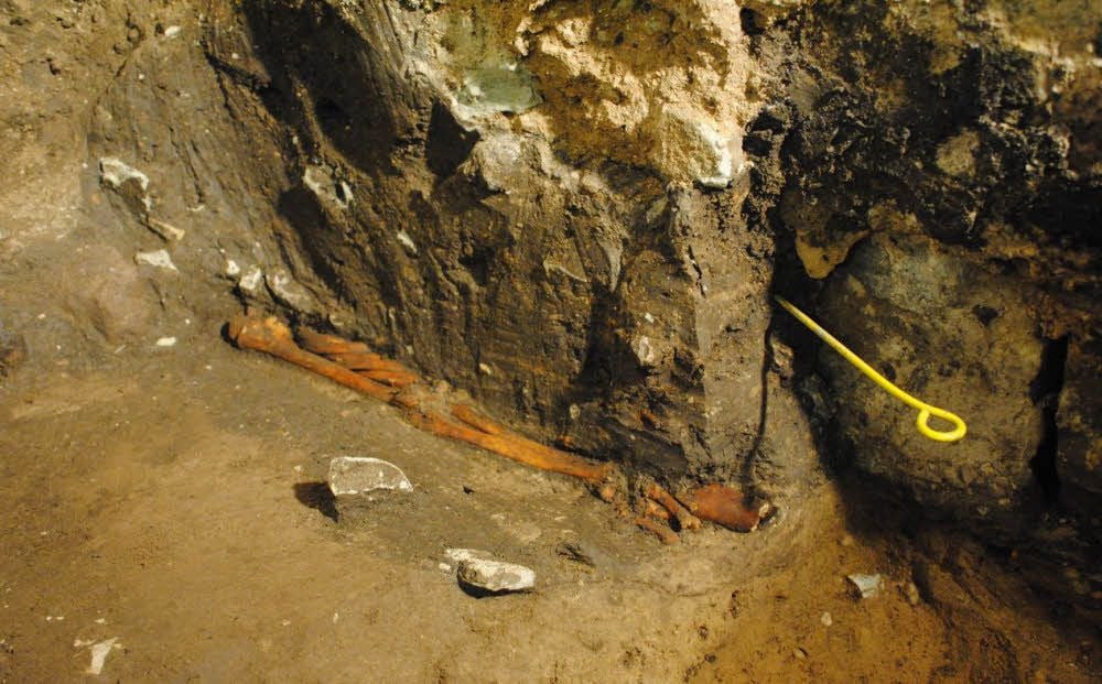 Die im Keller vom Museum auf Schloss Bernburg entdeckten Skelettreste.