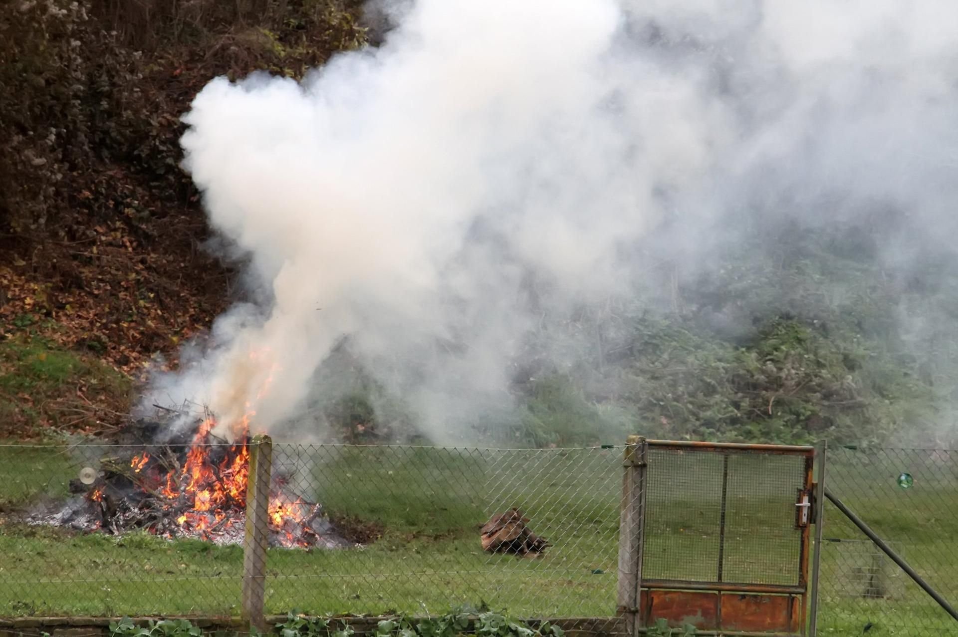 Seit Juli ist das Verbrennen von Gartenabfällen untersagt.
