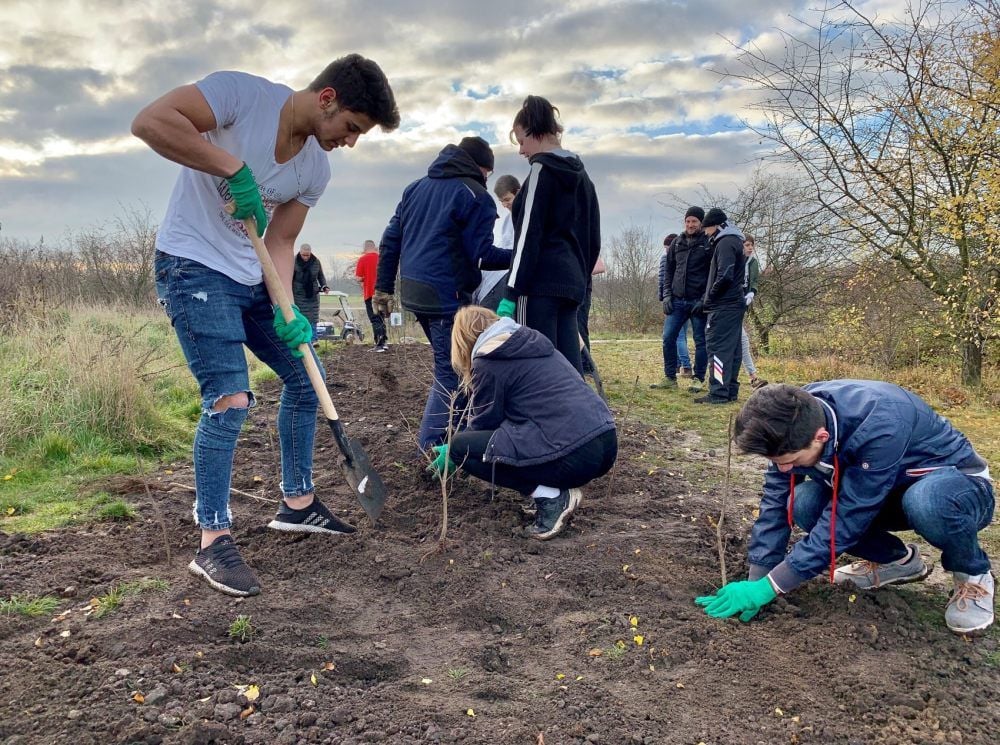 Bio-Unterricht in der Praxis: Jugendliche aus neunten Klassen der Fliederweg-Schule haben auf dem Golfplatz über 300 junge Bäume gepflanzt.
