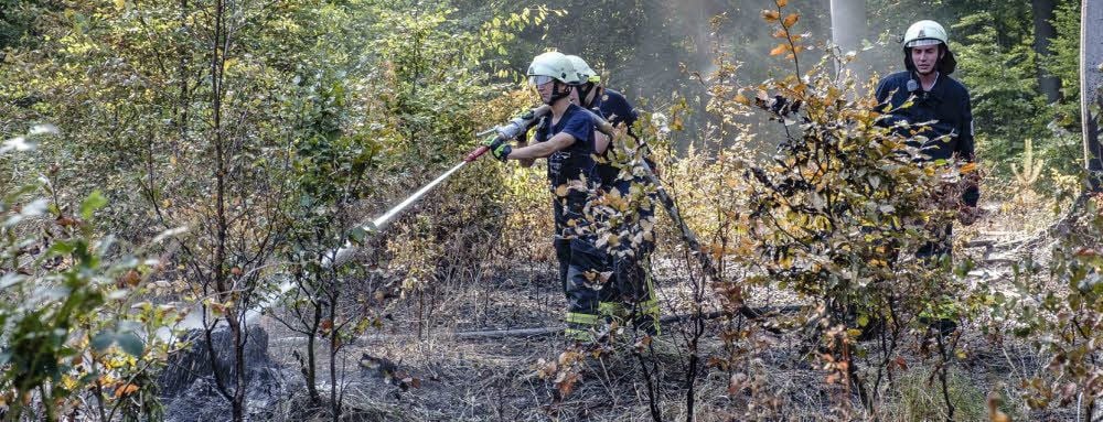 Wald in Flammen