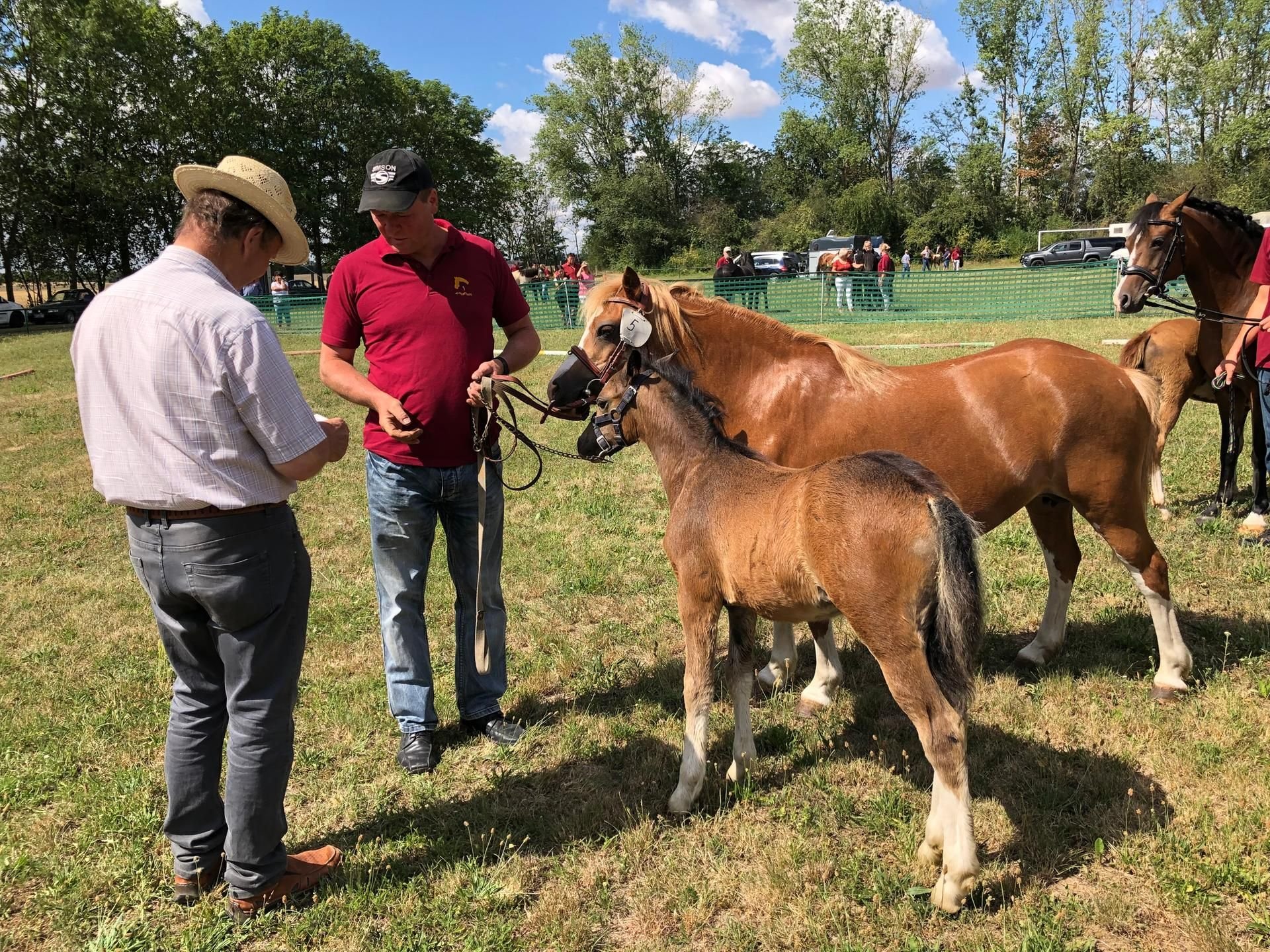 Gerhard Deparade links zeichnt Züchter Jörg Däne aus Zöschen für sein Fohlen Anastasia der Rasse Welsh Mountain Pony