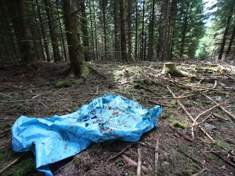 Waldstück im Saale-Orla-Kreis bei Rodacherbrunn: Hier wurden Skelettteile von Peggy gefunden. Foto: Daniel Karmann/Archiv