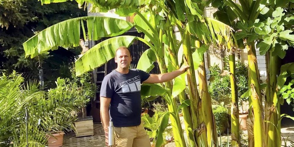 Denis Fischer hat Exoten in seinem Garten.