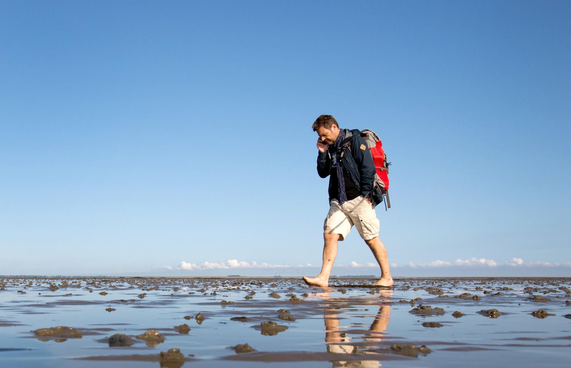 Der Handy-Wanderer – Robert Habeck im Watt zwischen Dagebüll und der Hallig Langeneß.