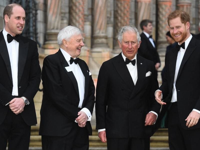 Prinz William, Sir David Attenborough, Prinz Charles und Prinz Harry bei der Weltpremiere der Netflix-Serie „Unser Planet” im Naturkundemuseum in Kensington. Foto: Kirsty O'connor/PA