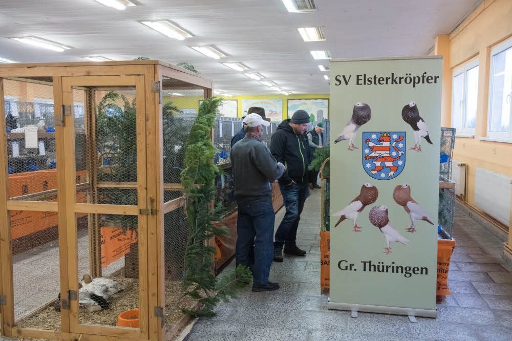 Die Gruppe Thüringen des Sondervereins der Züchter von Elsterkröpfern stellt sich in Eckartsberga ebenfalls vor und weckt das Interesse der Besucher.