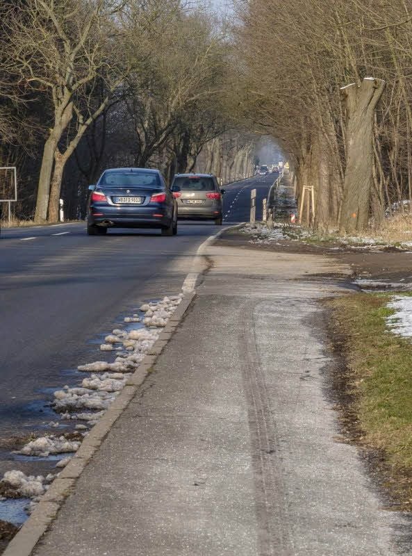 Der Radweg in Richtung Potsdam endet am Ortsausgang von Wittenberg. Radwanderer wünschen sich da eine sichere Abhilfe.