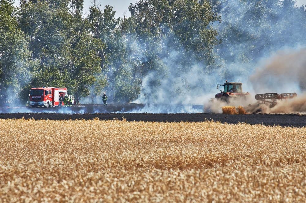 Zwischen Latdorf und Poley pflügte ein Landwirt auf seinem Acker Brandschneisen, um das Feuer unter Kontrolle zu bringen.