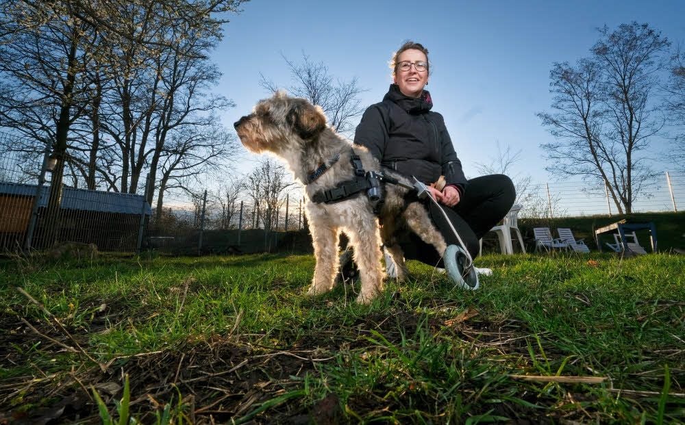 Christin Weilert will Fritz nie mehr missen. Dank eines Rollstuhls kann der Hund wieder laufen.
