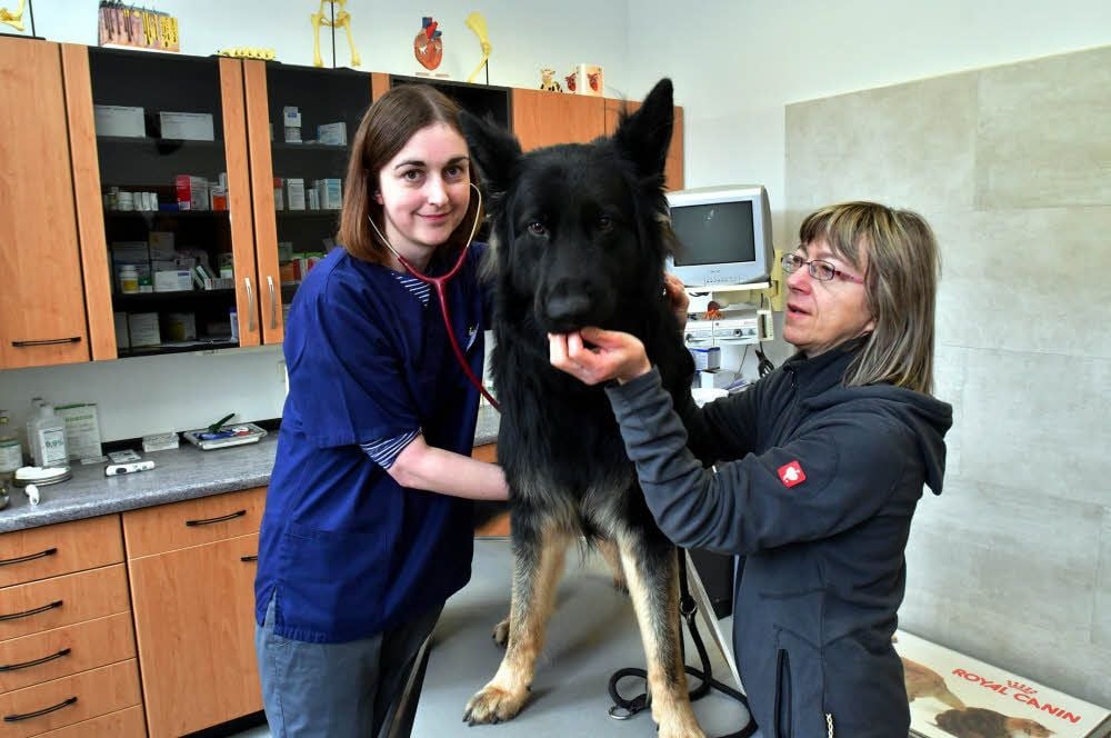 Martina Rühaak (links) untersucht viele Hunde, so zum Beispiel auch den Schäferhund Helgon von Jana Harnisch.