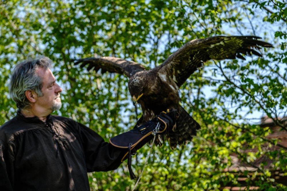 Falkner Jim Ohle mit Raubadler Rudi: Heute gibt’s die erste Flugshow seit langer Zeit.