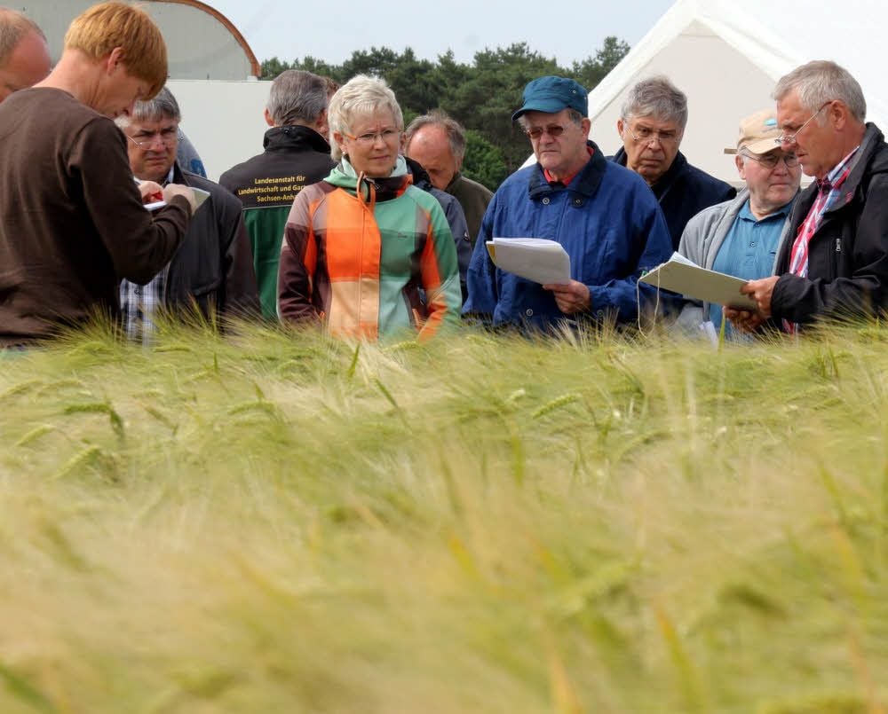 Bei Gadegast werden seit 50 Jahren mit Feldtagen Versuche ausgewertet (hier an der Wintergerste) und Landwirten die Ergebnisse erläutert.