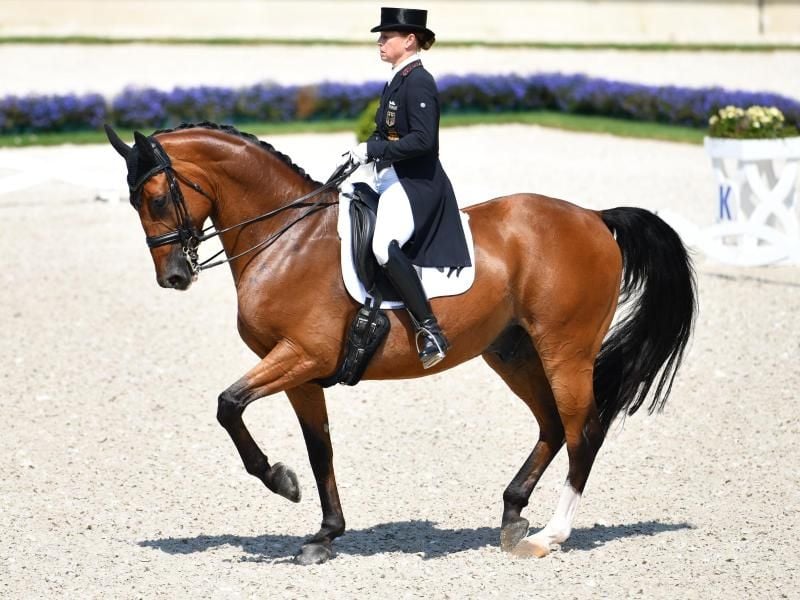 Favoritin ist auch in Balve wieder einmal Isabell Werth. Foto: Uwe Anspach/dpa