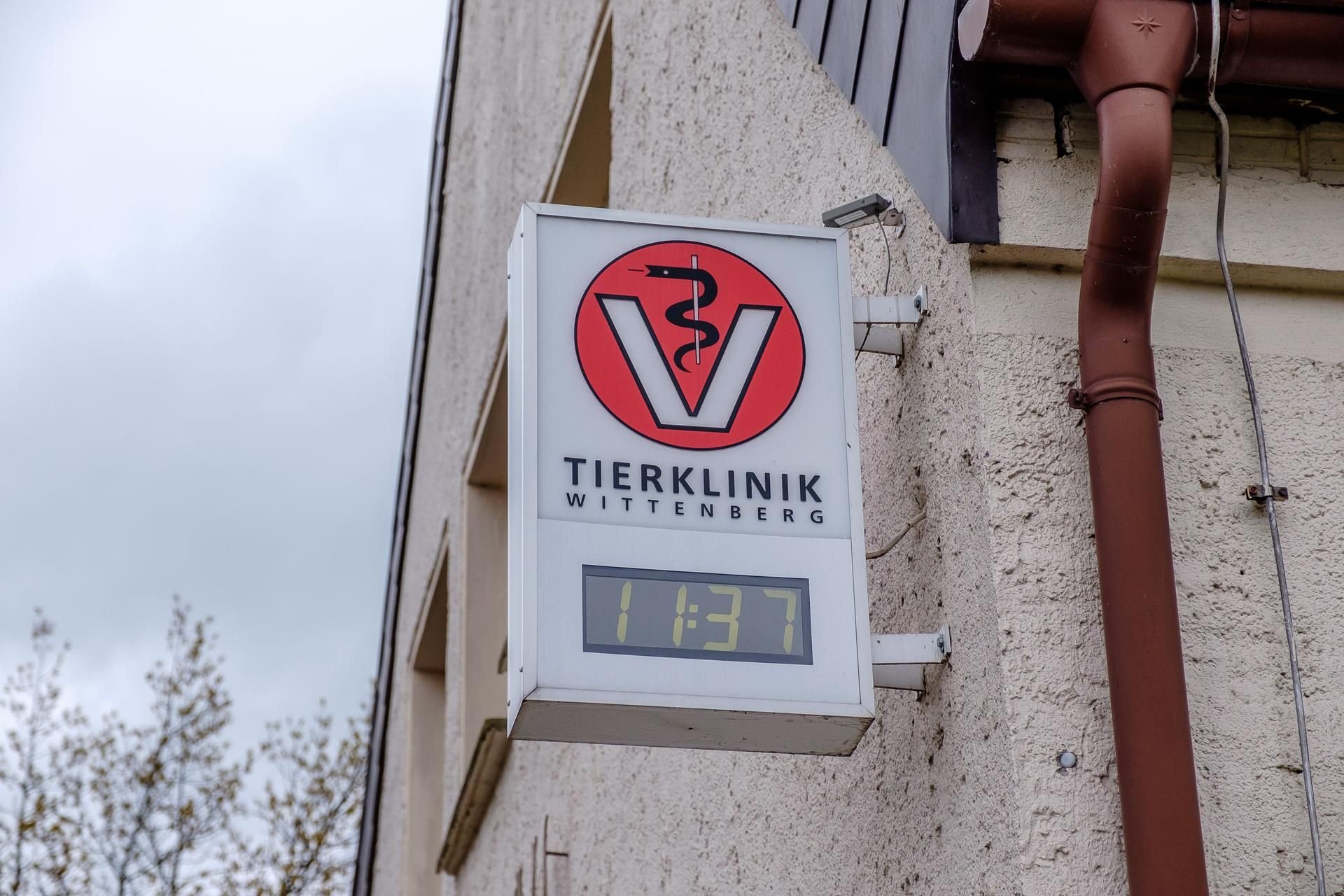 Wittenberg Tierklinik