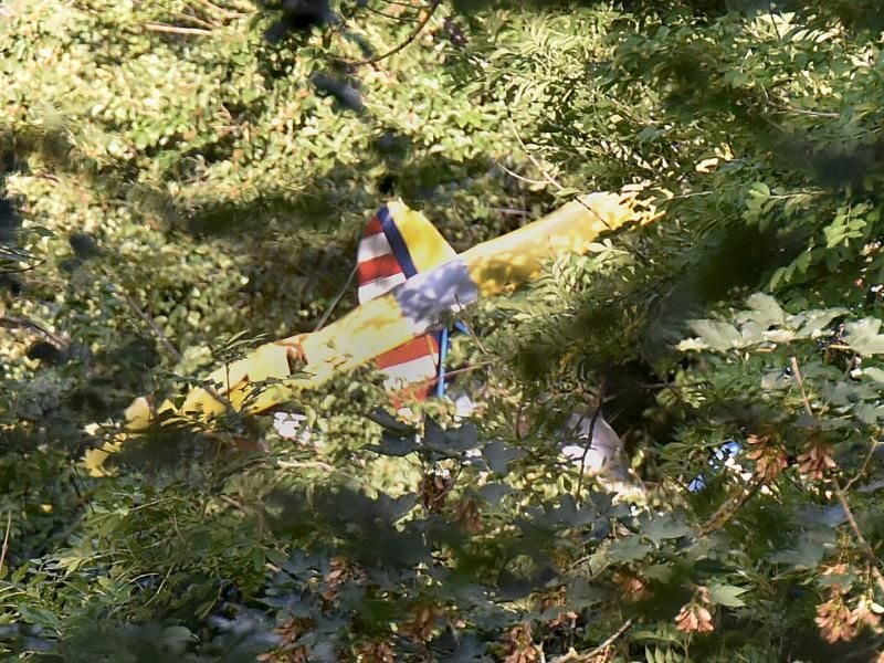 Ein verunglücktes Ultraleichtflugzeug hängt bei Degenfeld in Baumwipfeln. Foto: Jan-Philipp Strobel