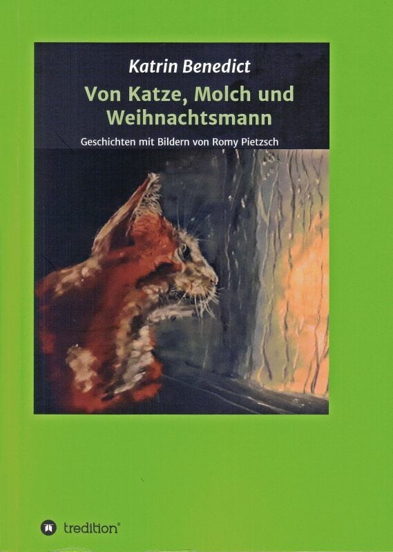 So sieht die Titelseite des neuen Buches aus.