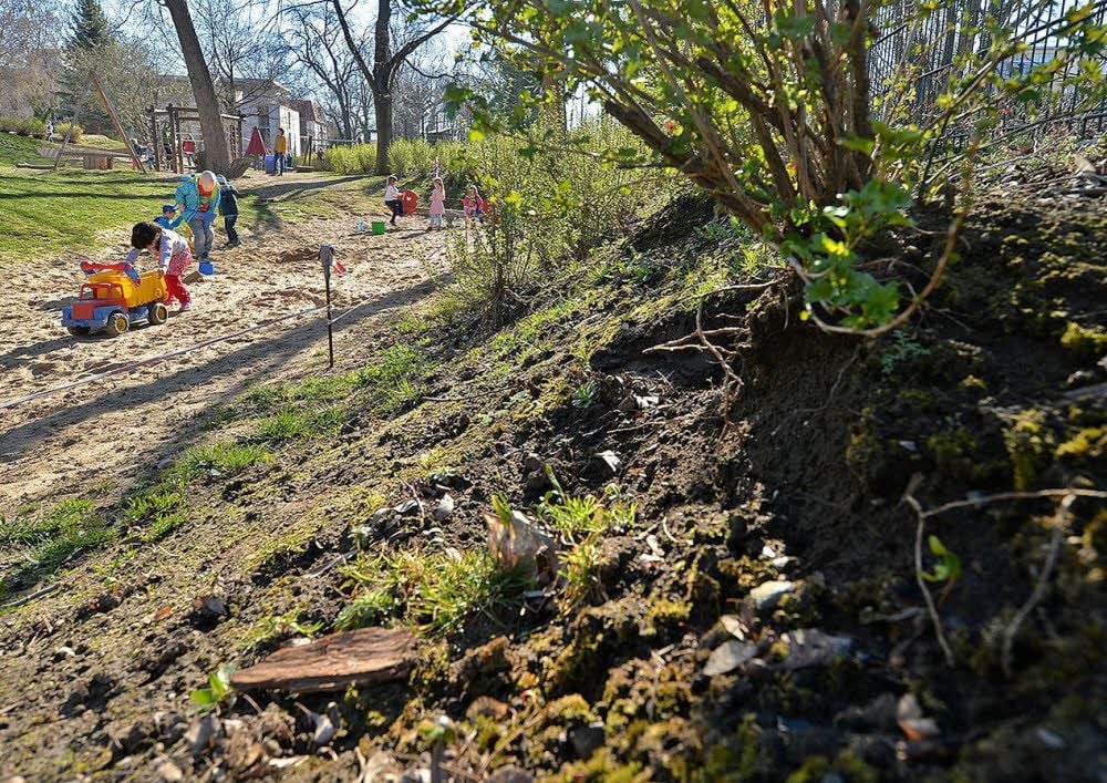 Vom Hang in der Kita Pünktchen kommen immer wieder Erdmassen.