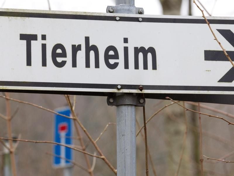 Ein Schild „Tierheim” ist zu sehen. Foto: Friso Gentsch/Archiv