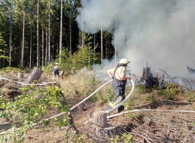 Ein Waldbrand im Revier Friedrichsbrunn im Landkreis Harz wird gelöscht.