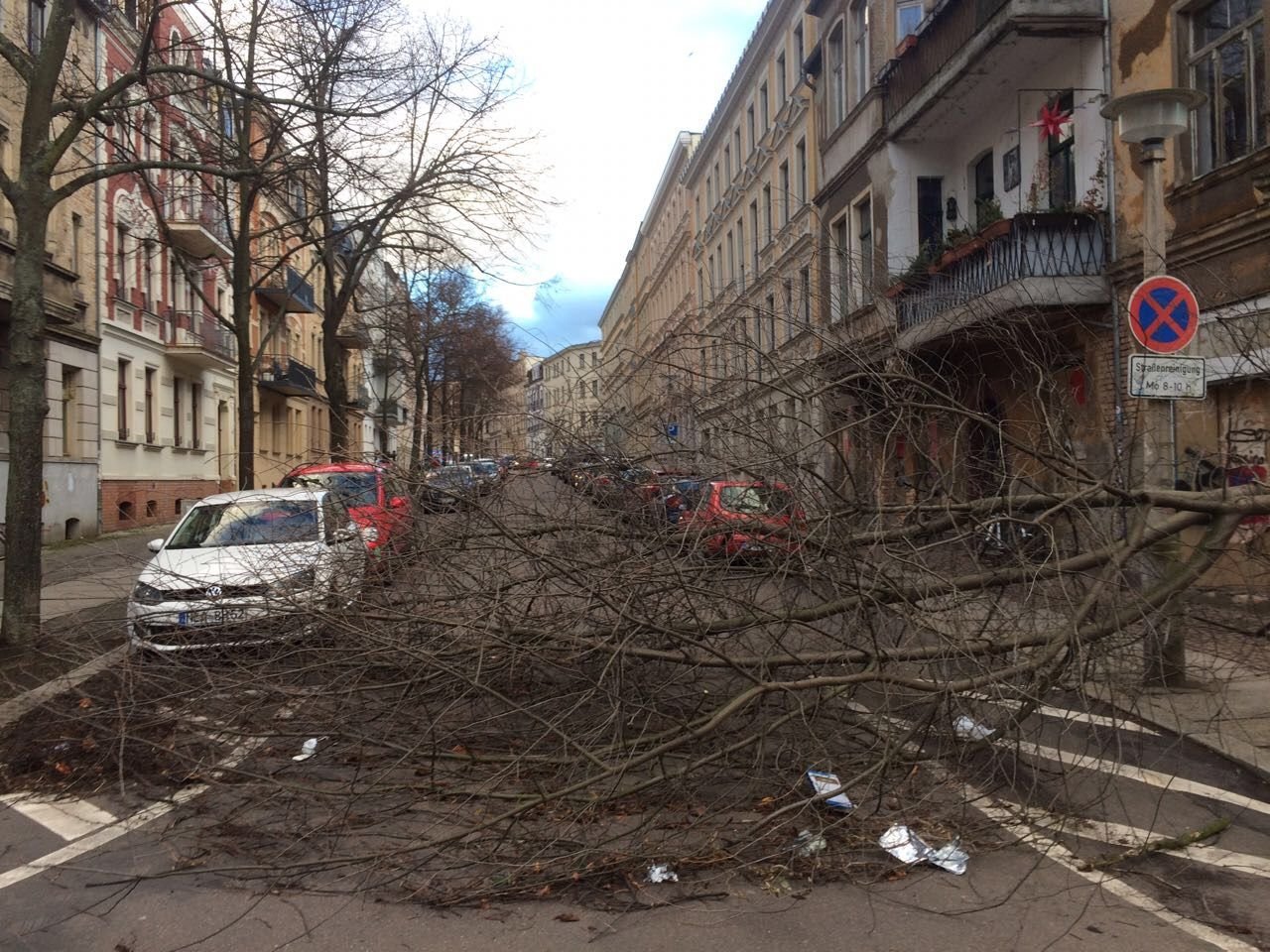 In der Humboldstraße in Halle sind Bäume umgestürzt.
