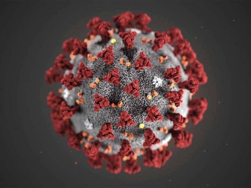 Eine Mikroskopaufnahme zeigt das Coronavirus. Foto: Uncredited/Centers for Disease Control and Prevention/AP/dpa/Archivbild