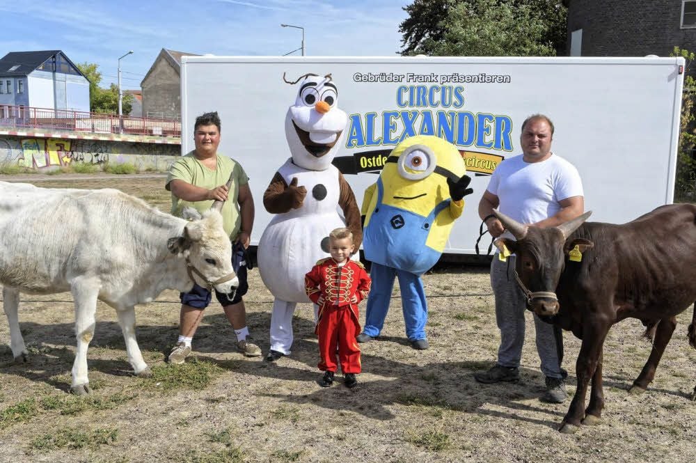 Circus baut seine Zelte auf dem Festplatz auf.