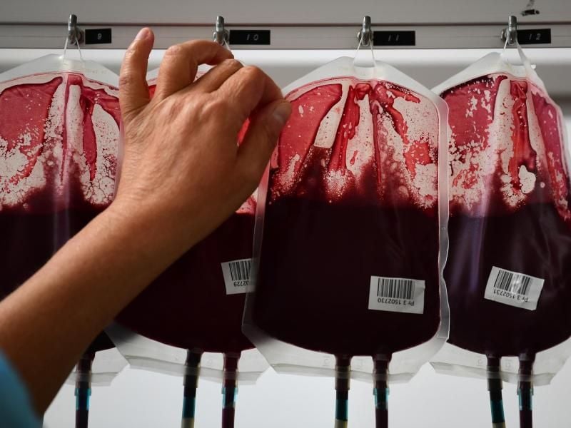 Eine Mitarbeiterin der Blutbank überprüft Beutel mit Blut in einer Blutbank. Foto: Ina Fassbender/dpa