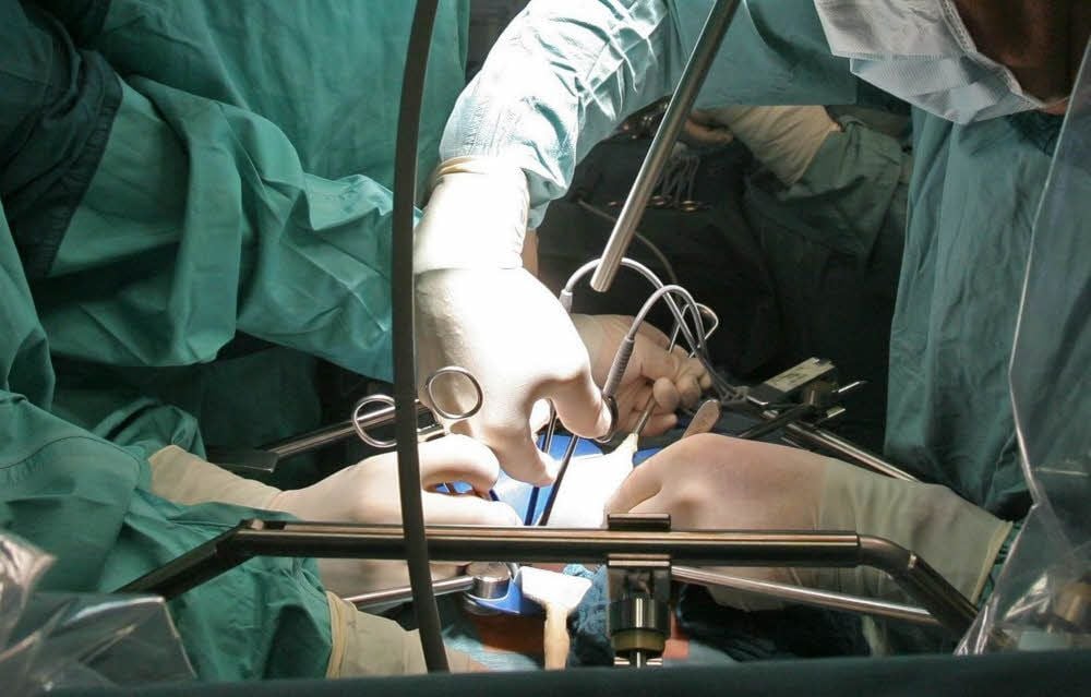 Die Zahl der Organspenden ist in Sachsen-Anhalt deutlich gestiegen.