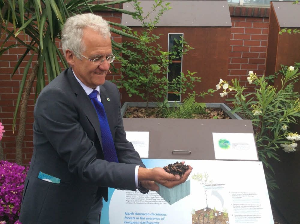 Eine Handvoll Regenwürmer bugsierte Helge Bruelheide, Direktor des Botanischen Gartens, in ein Versuchsbeet.