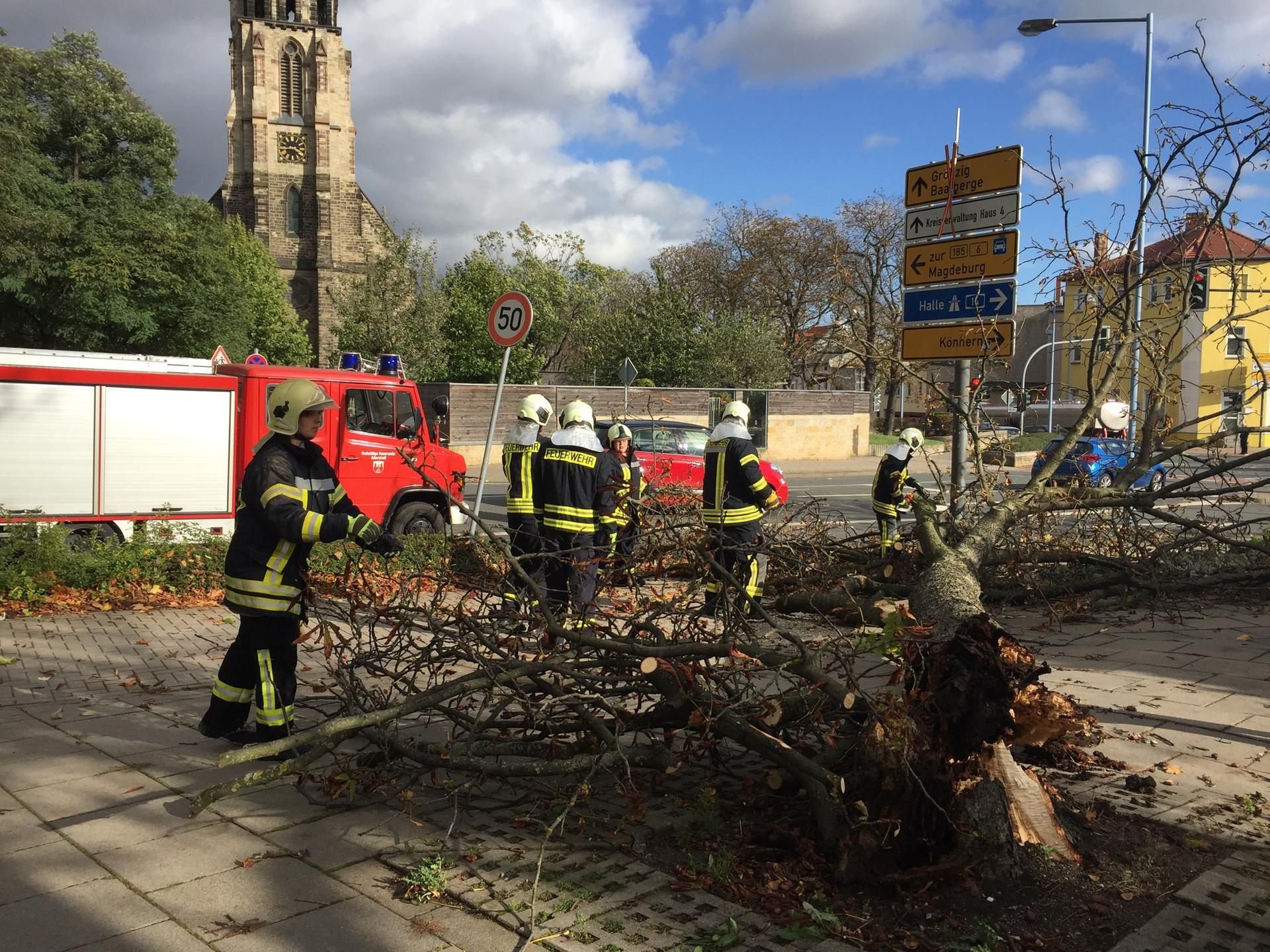 Feuerwehrleute beseitigen in der Karlstraße nahe der Martinskirche in Bernburg einen umgestürzten Baum.