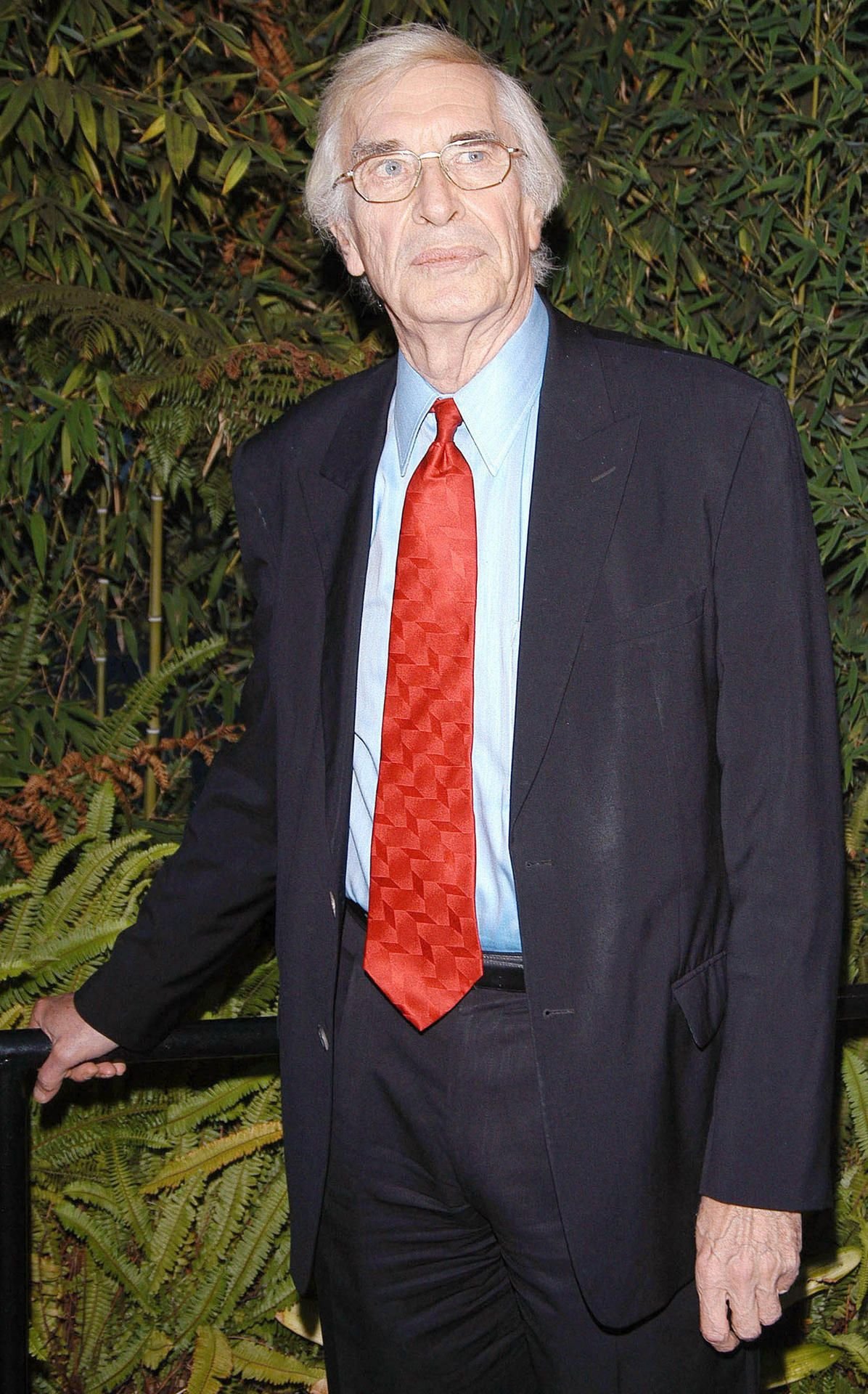 Schauspieler Martin Landau.