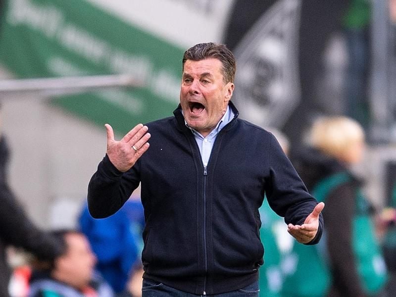 Gladbachs Coach Dieter Hecking beschwert sich über den Umgang mit Trainern in der Bundesliga. Foto: Marius Becker