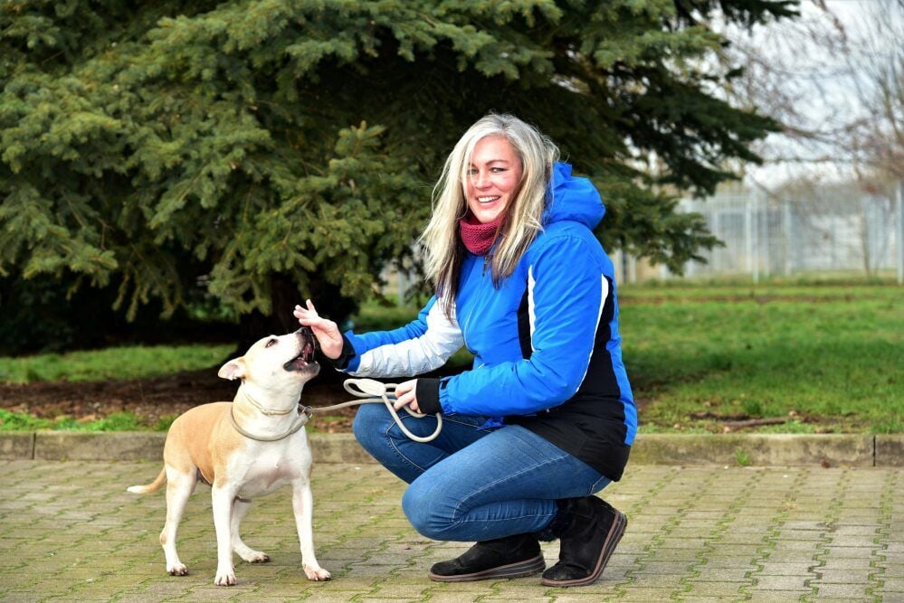 Die neue Tierheimleiterin Rasa Zacharias mit der zehn Jahre alten Staffordshire-Terrier-Dame namens „Steffi“.