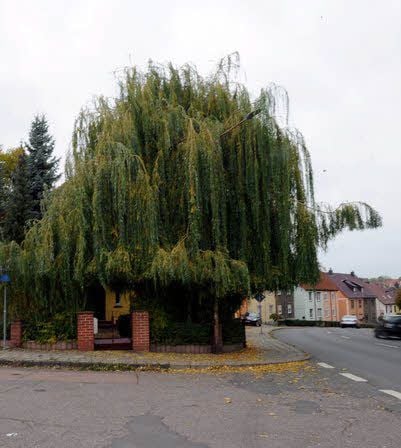 Etwa hier stand einst die Preußische Mühle.