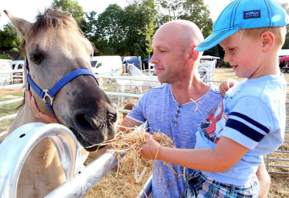 Marko Drewlo hat mit seinem Sohn Malte (4) den Pferdemarkt in Neugattersleben besucht.