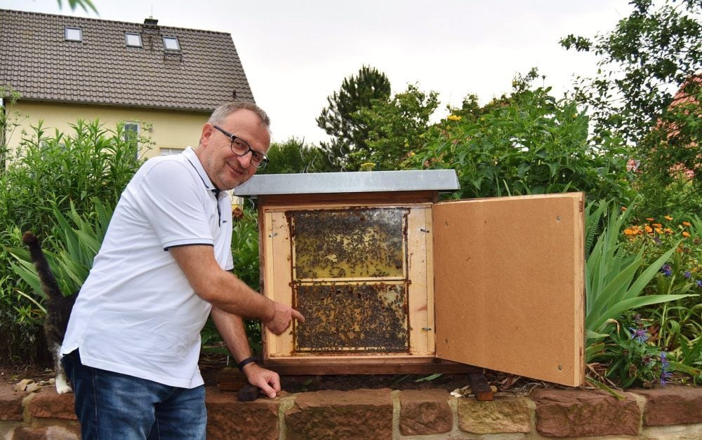 Imker Falko Breuer zeigt Gästen gern seine Schaubeute mit einem Bienenvolk in seinem Hausgarten.