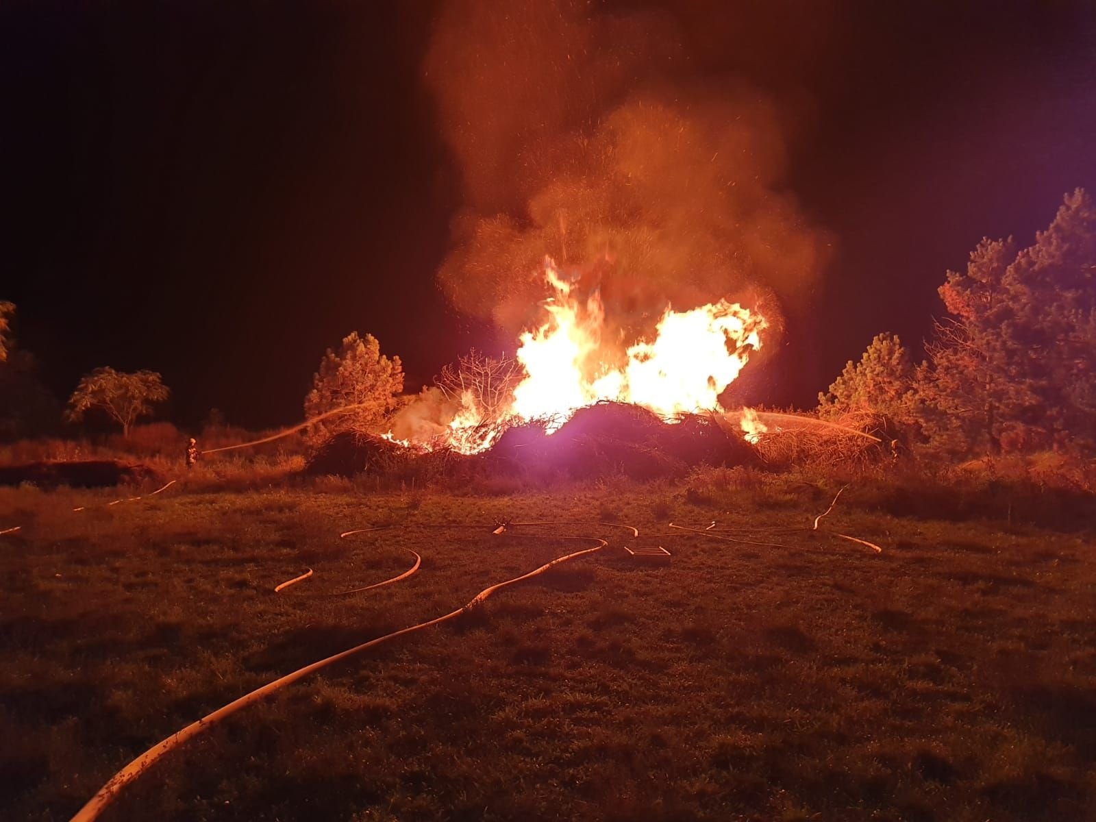 Gartenabfälle standen auf einer Fläche von rund 2.500 Quadratmetern in Flammen.