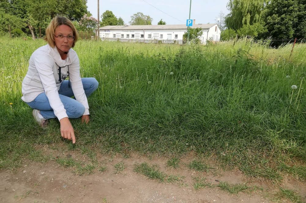 Hier, unweit des Freibades in Berga, hat Manuela Koch die offenbar vergiftete Katze gefunden. Wenig später war das Tier tot.