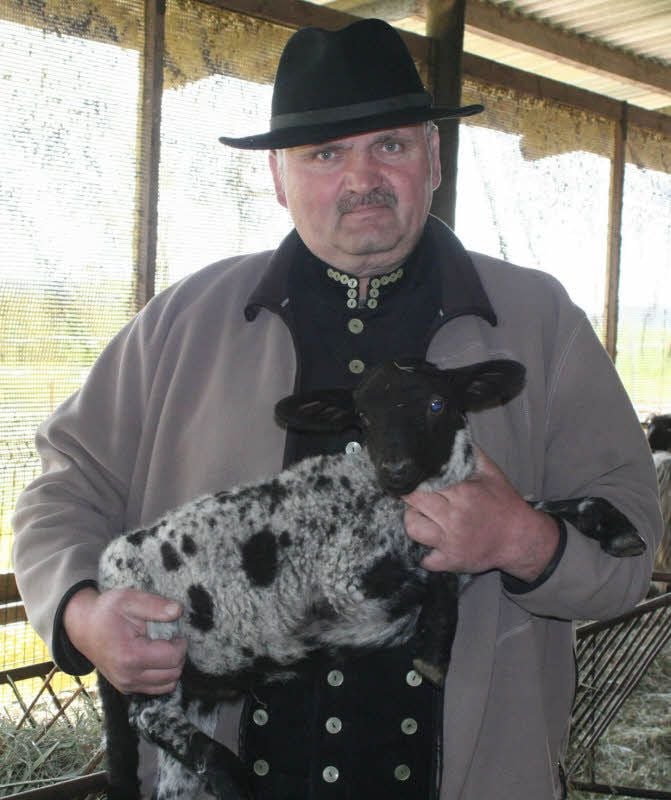 Hobby-Schäfer Frank Seide aus Prettin mit einem seiner niedlichen jungen Lämmer