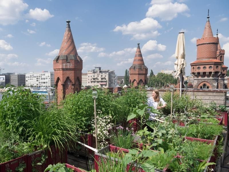 Eine Mitarbeiterin im grünen Garten auf auf der Dachterrasse, hinter ihr die Türme der Oberbaumbrücke in Berlin. Foto: Soeren Stache
