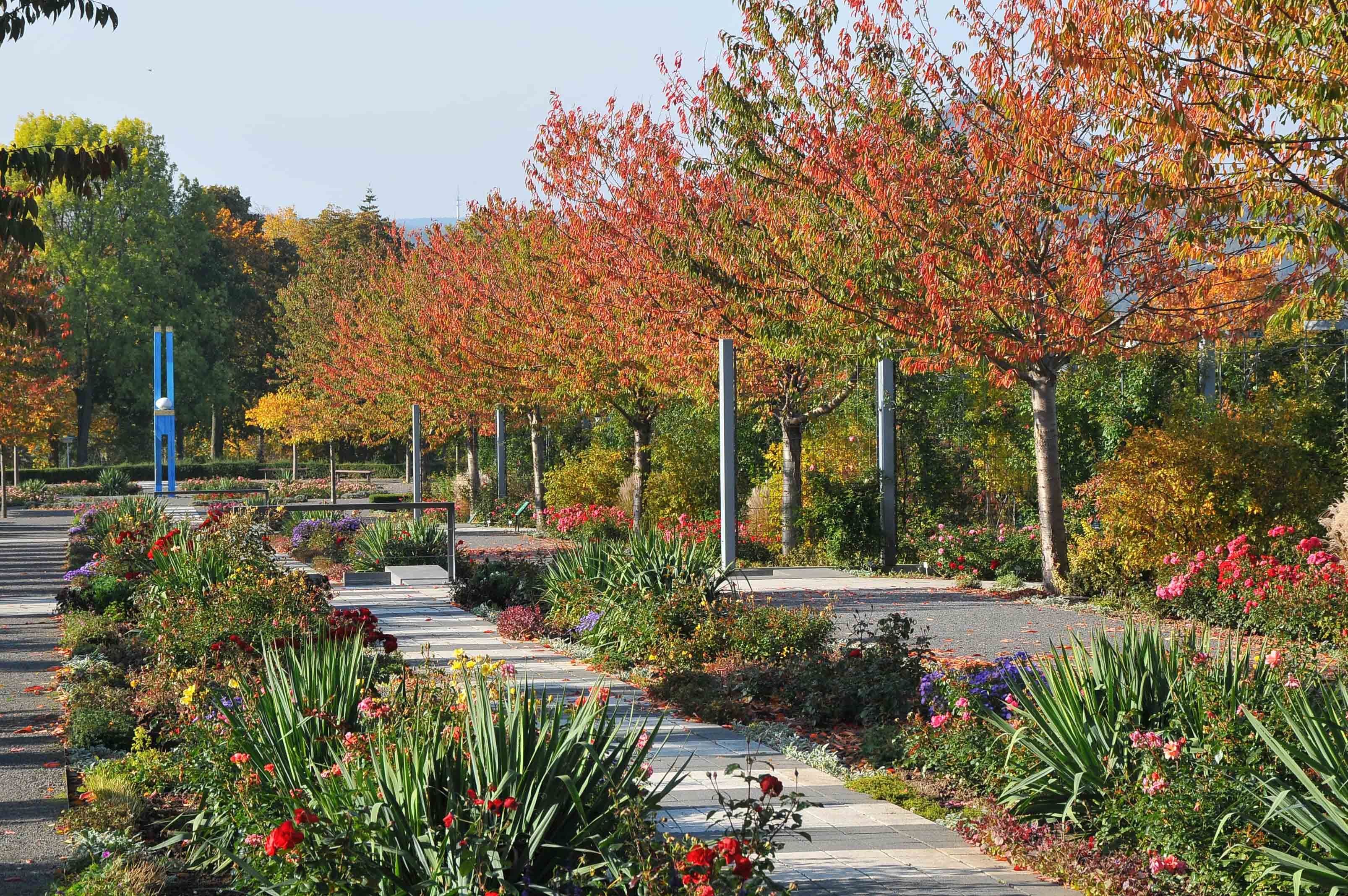Das Europa-Rosarium Sangerhausen im Herbst