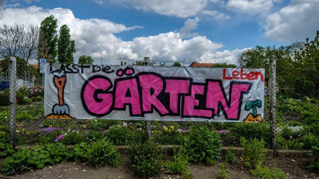 Gärtner contra Stadtverwaltung Wittenberg Gärtner contra