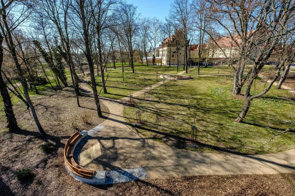 Blick ins Zentrum des Universitätsparks. Wie früher laufen die Wege nun sternförmig auf ein Zentrum zu. Vorher war hier Wildwuchs.