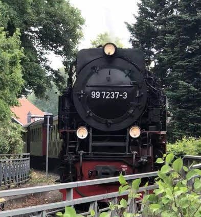 Ein Dampfzug der Harzer Schmalspurbahn in Wernigerode.