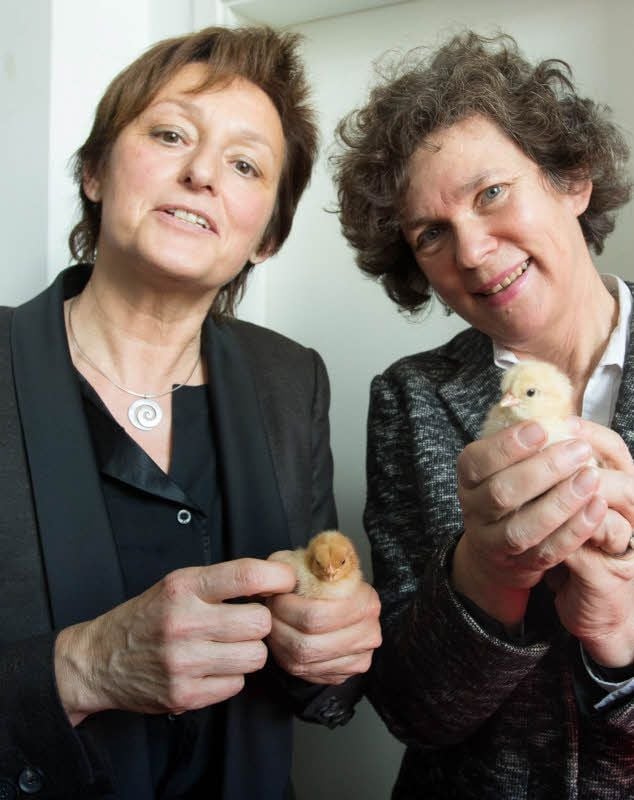 Maria-Elisabeth Krautwald-Junghanns