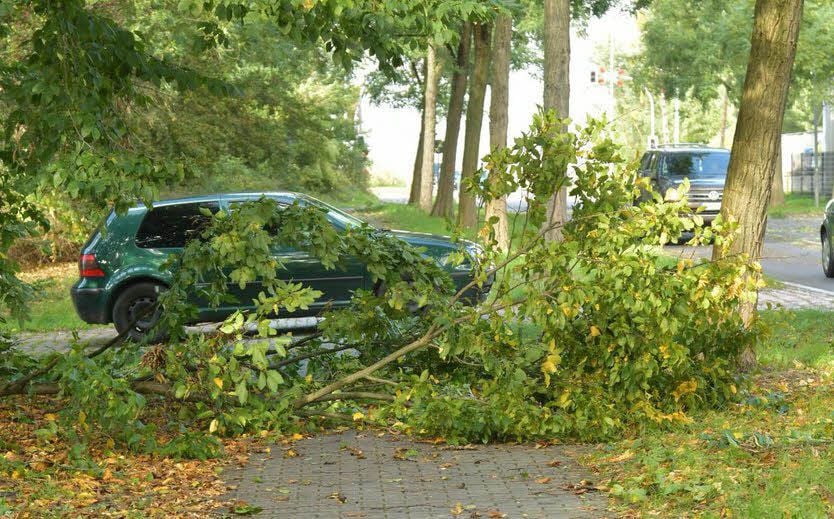 In der Hünefeldstraße sind erste Äste gefallen.