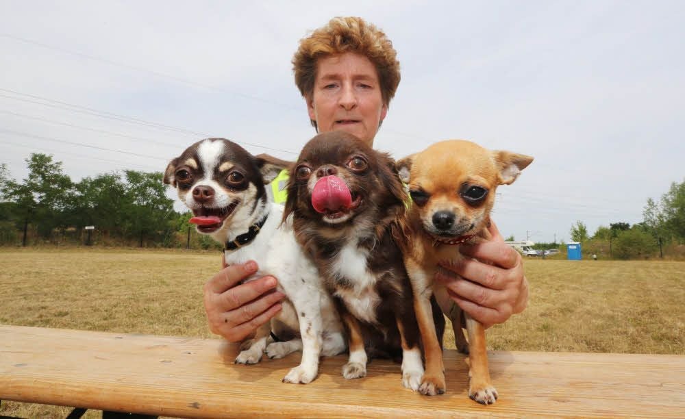 Die Holzweißigerin Gabriele Gauter mit ihren drei Chihuahuas.